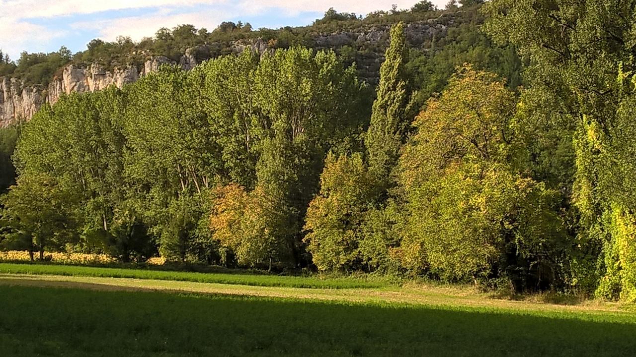 Bed and Breakfast Maison Les Fraysses Bellefont-la Rauze Exterior foto